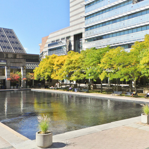 Mel Lastman Square